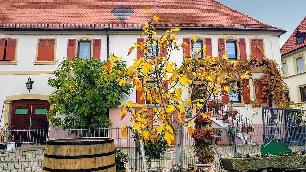 Weingut3